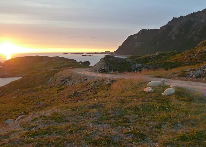 Cute Small On The Pier In דירה Nyksund