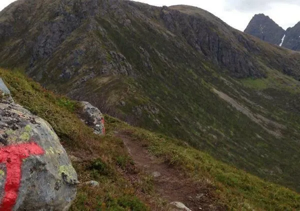 Cute Small On The Pier In *
