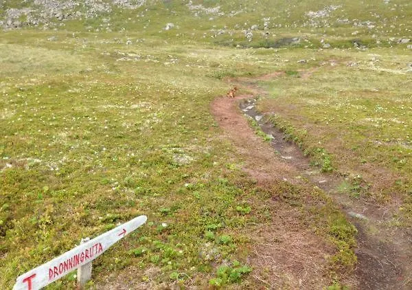 דירה Cute Small On The Pier In